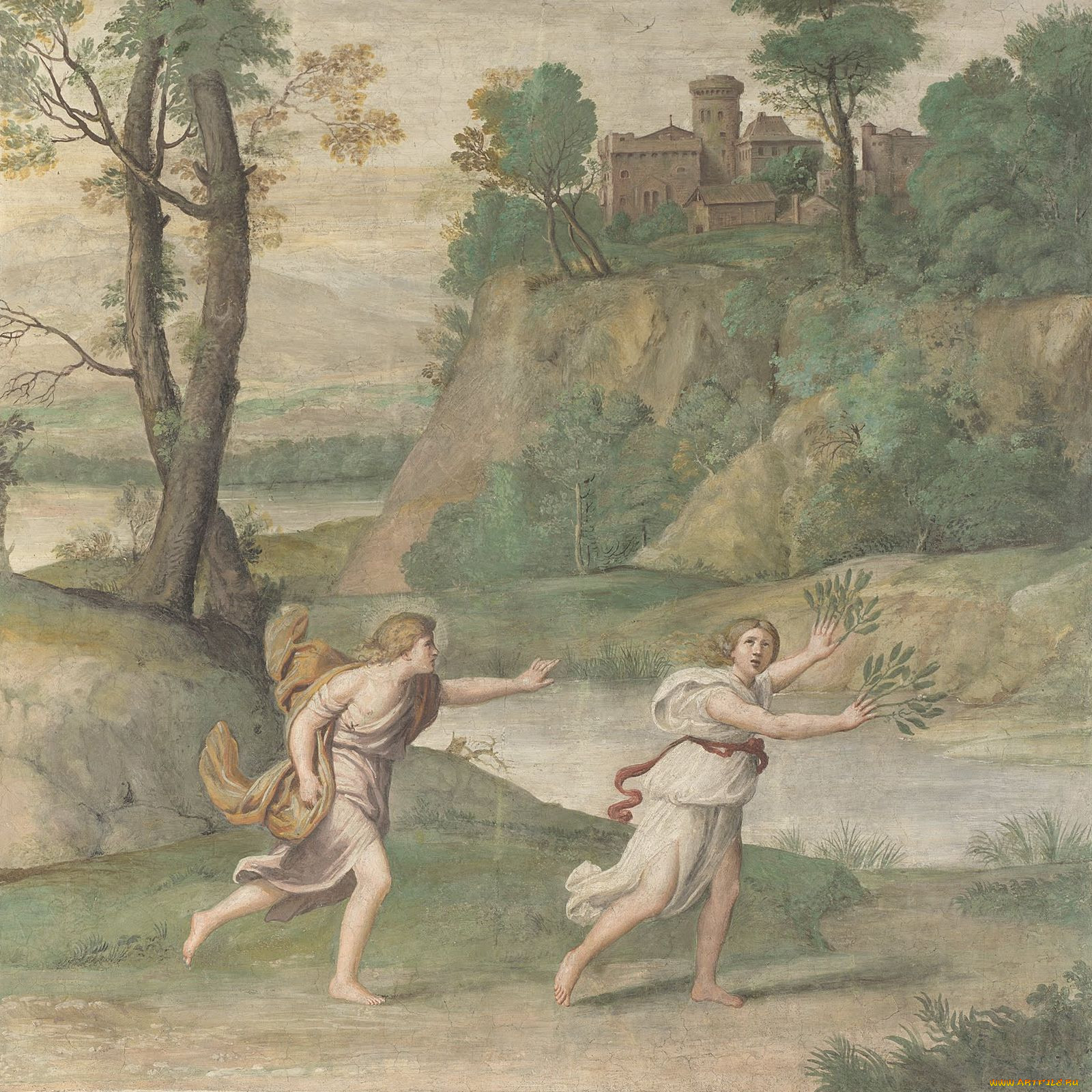 domenico, zampieri, apollo, pursuing, daphne, , domenichino